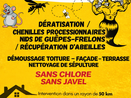 673D1BF0-0CEB-4EEA-9820-F7BAC8F847C6-1769718294